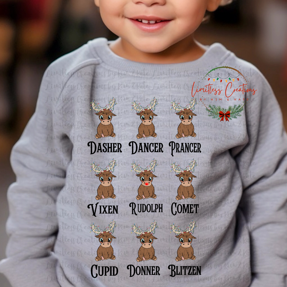 Reindeer List shirt